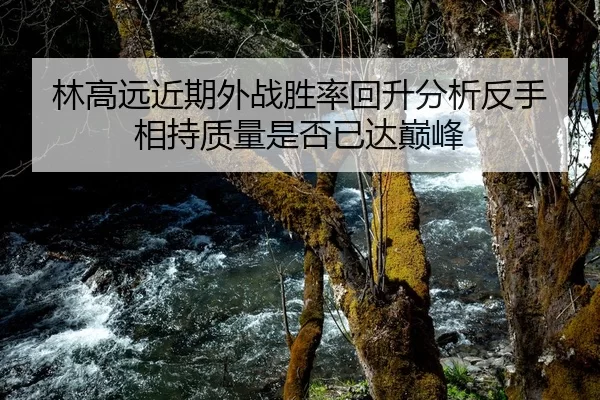 林高远近期外战胜率回升分析反手相持质量是否已达巅峰